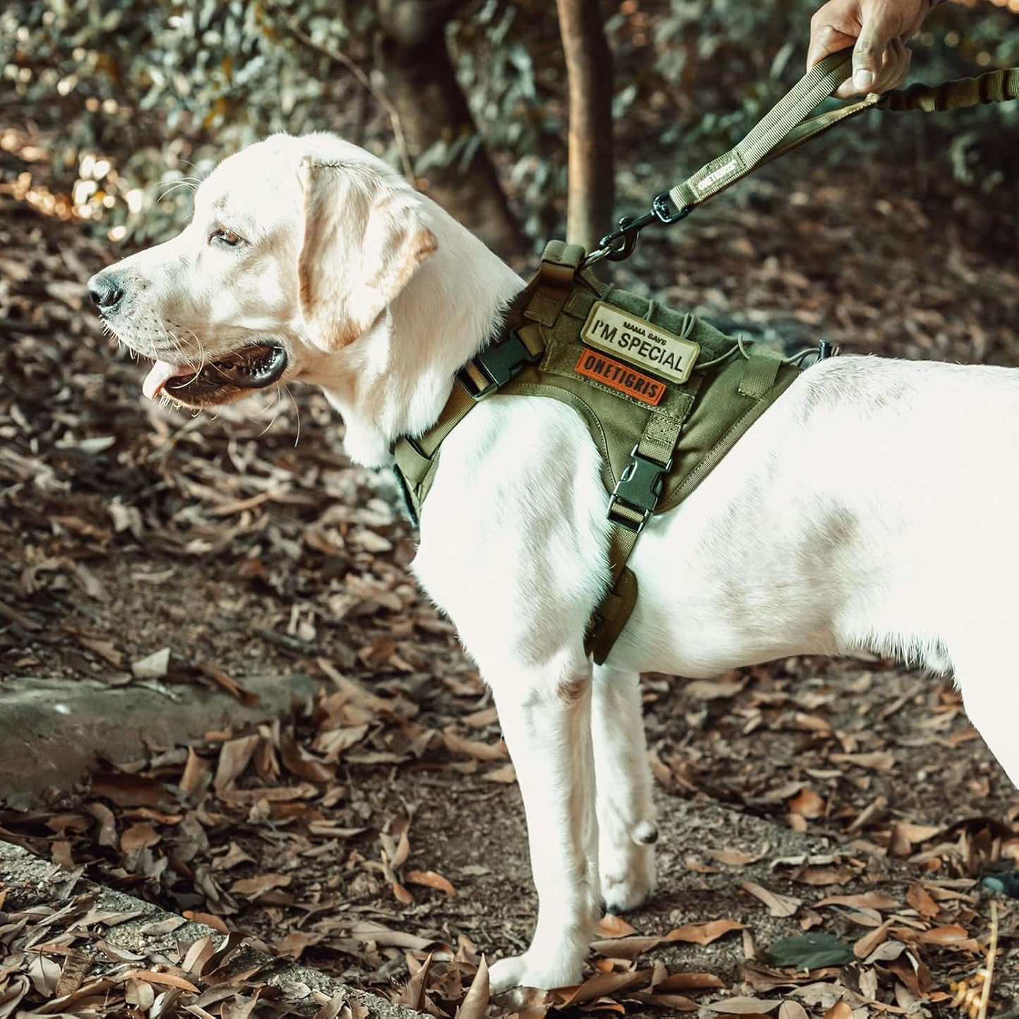 Dog Harness, Tactical Dog Harness No-Pull Breathable Adjustable Pet Vest with Handle for Outdoor Walking(Ranger Green,Small)