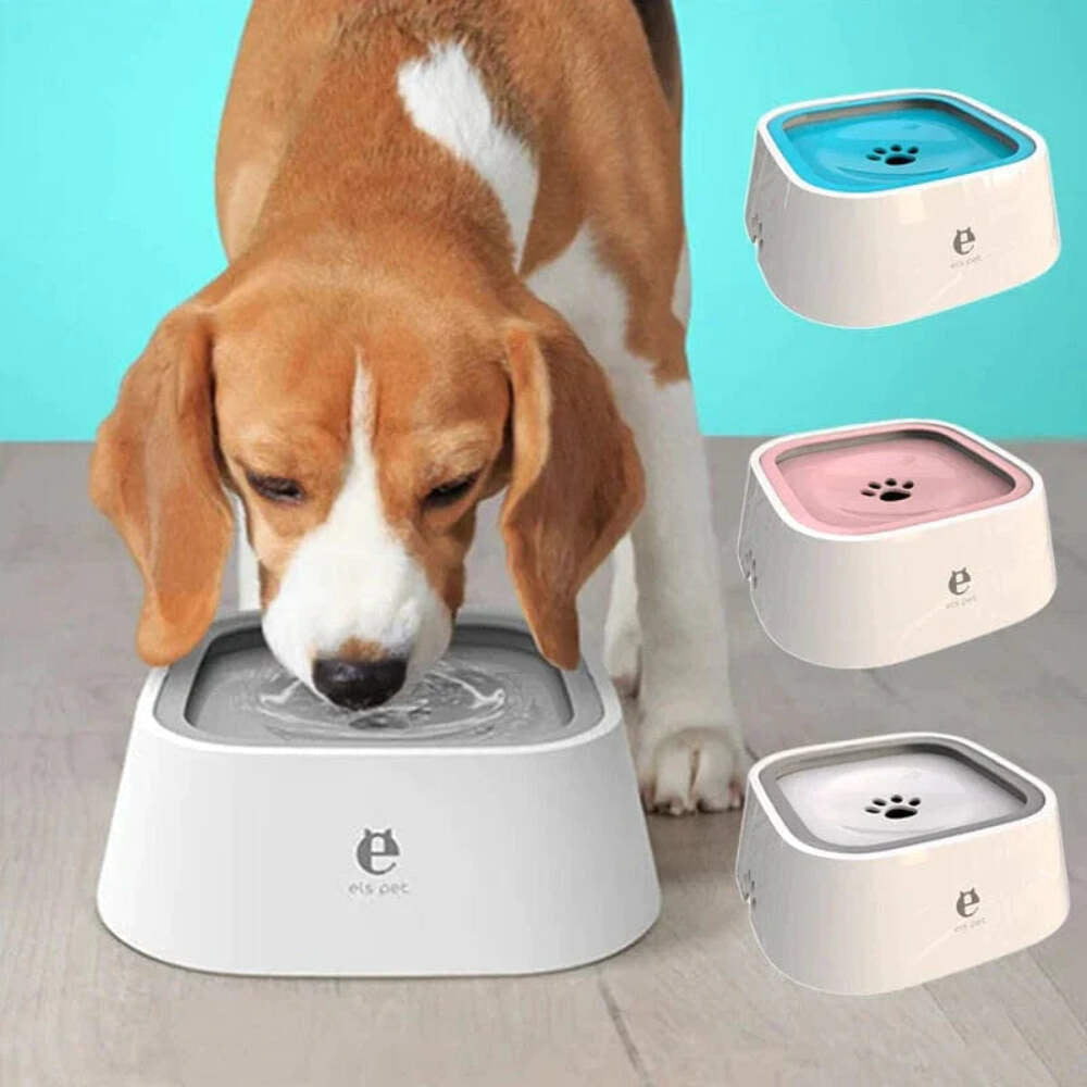 Dog Drinking Water Bowl with Floating Design - Non-Wetting, Non-Skid, Large Capa